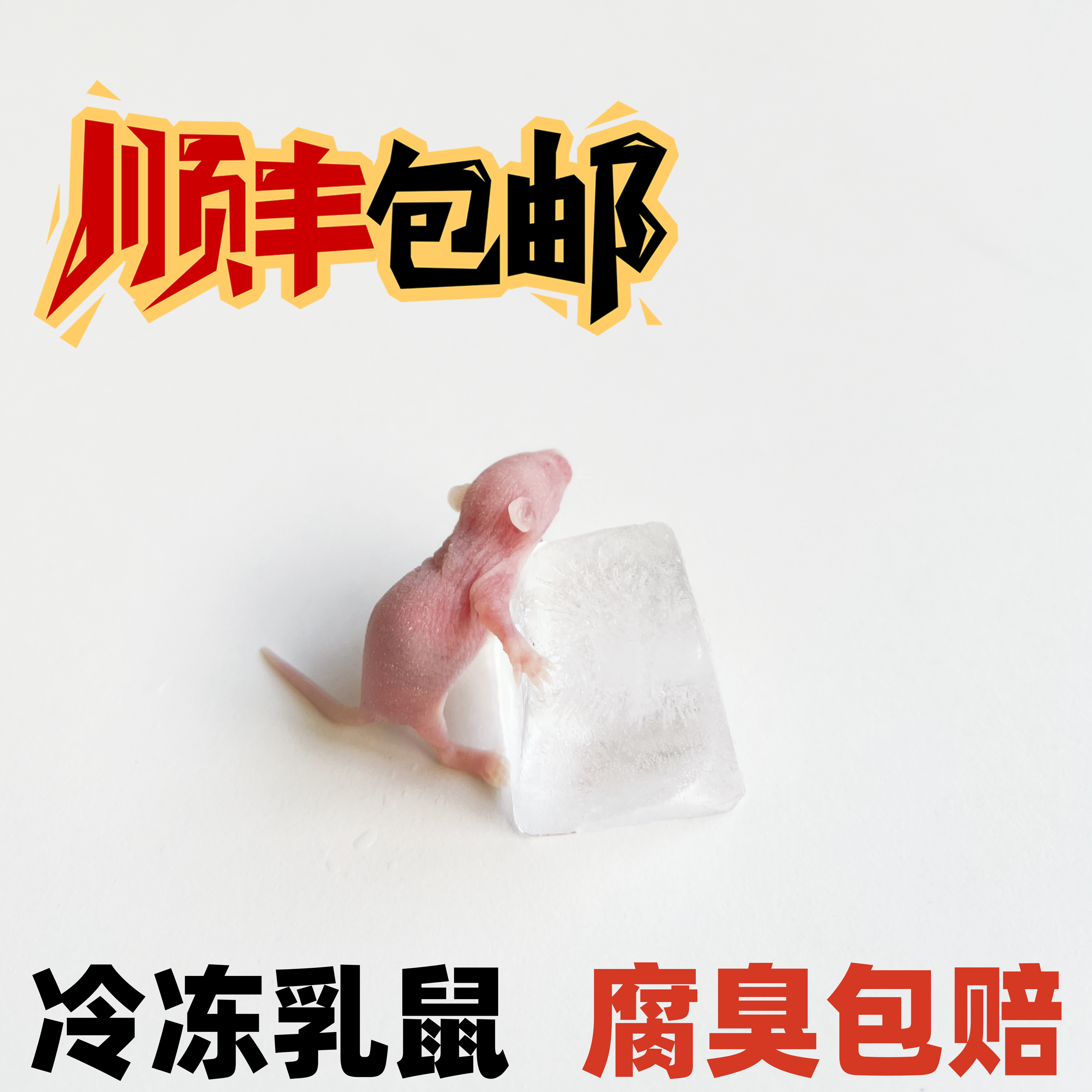 【顺丰包邮】红粉皮乳鼠冷冻独立包装小白鼠喂蛇龟角蛙饲料开口料