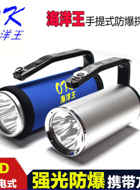 海洋王RJW7101/LT手提式防爆探照灯RJW7102A强光手电筒充电器电池