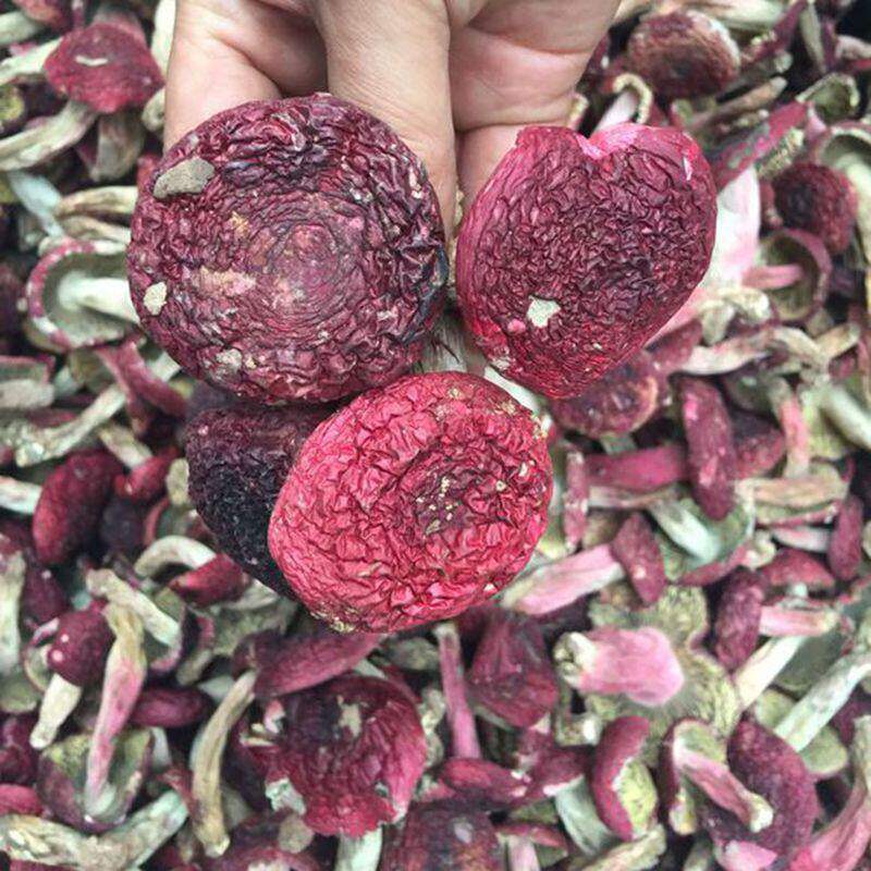 新货野生红菇250g干货云南特产福建红椎菌 正菇红蘑菇 大红月子菇