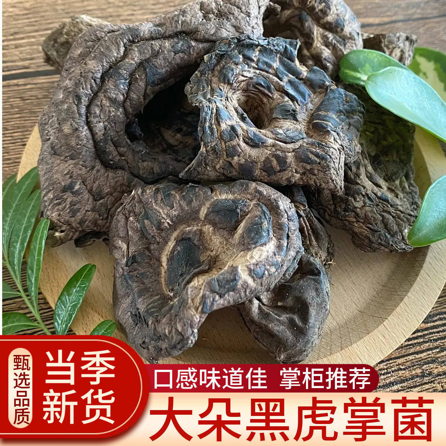 野生黑虎掌菌 煲汤香味无比正品牛肝菌煲汤50g云南楚雄野生菌包邮