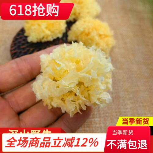 深山椴木野生银耳干货特产胶质多