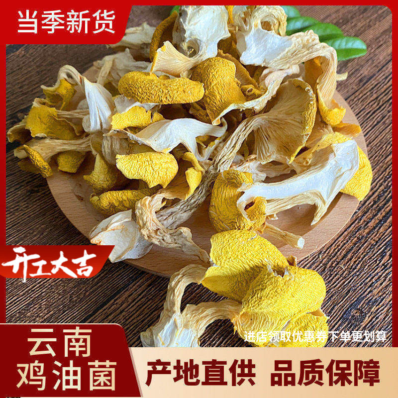 云南鸡油菌干货 黄金菇榆黄菇香菇山珍土特产250g包邮 野生黄丝菌