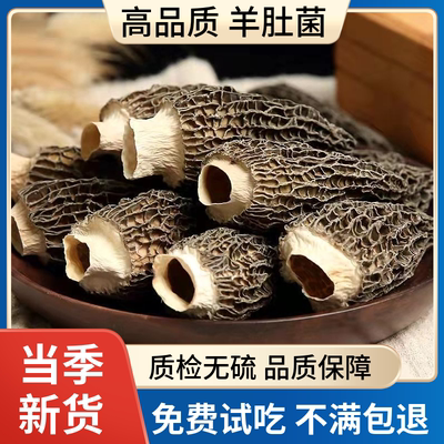 头茬羊肚菌100g高品质个大肉厚