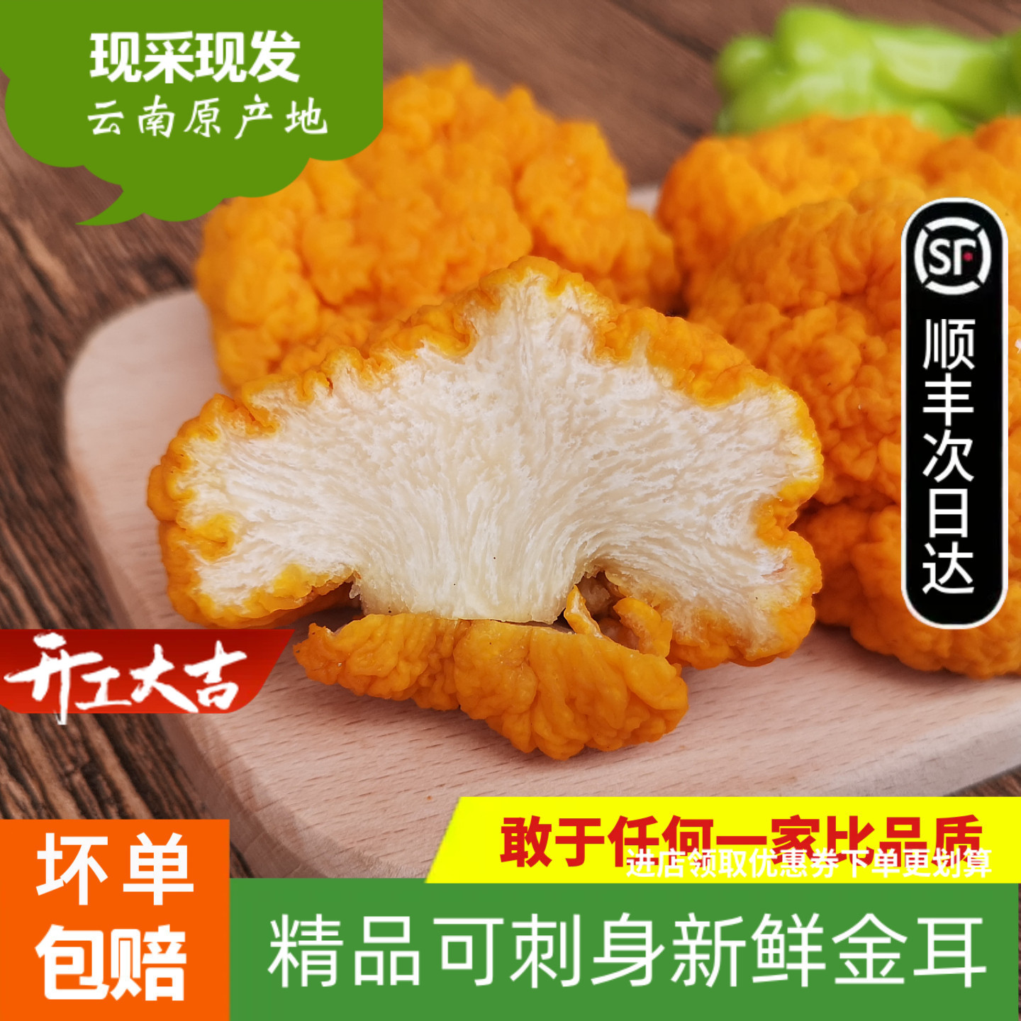 新鲜金耳菌500g 云南特产黄木耳非干货银耳菌野生菌 椴木金耳黄耳