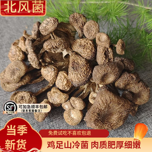 新货云南野生北风菌干货250g冷菌一窝菌大理鸡足山特产蘑菇煲汤鲜