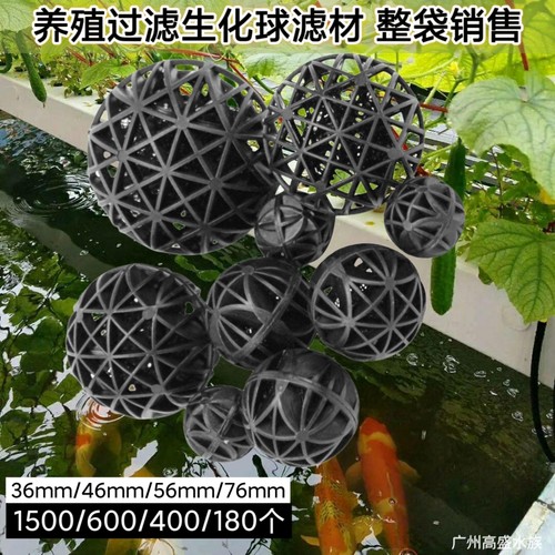 鱼菜共生系统养虾净水球活化水质