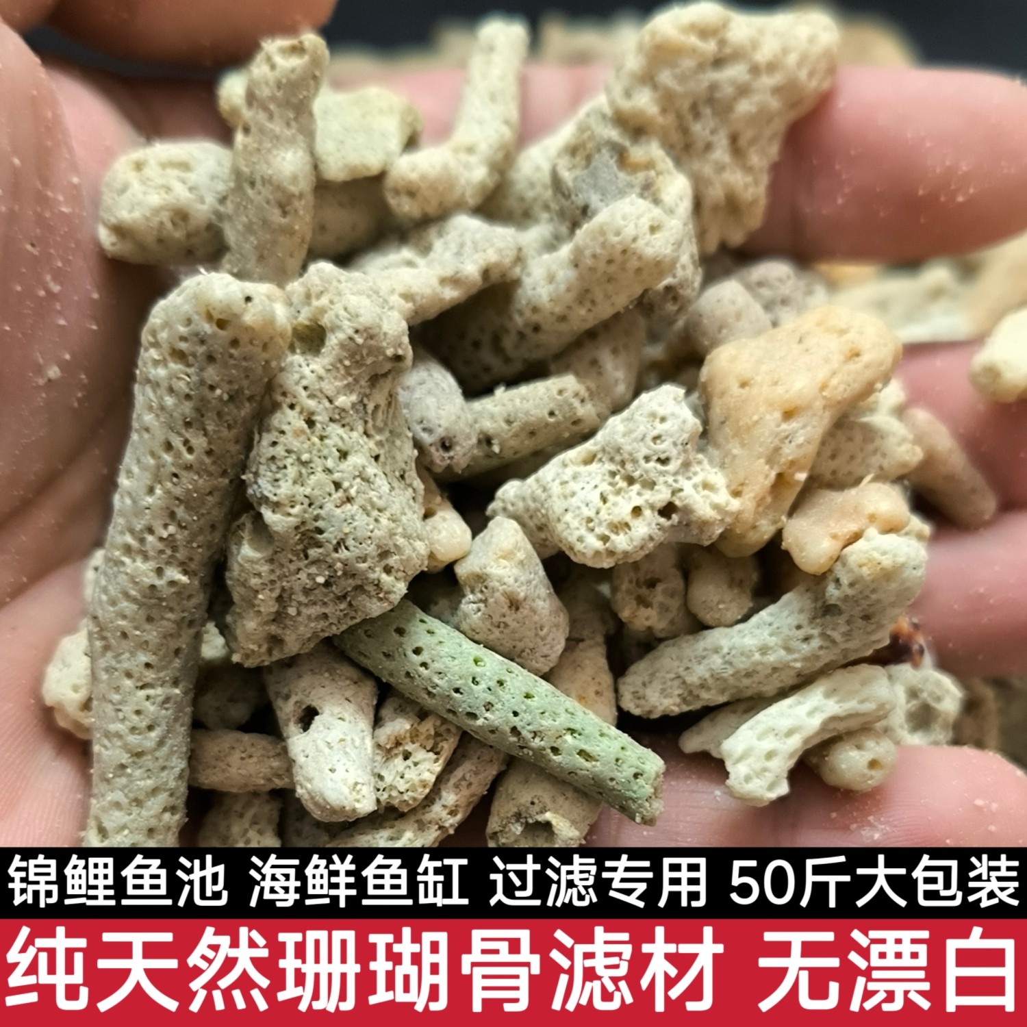 天然珊瑚石滤材净水培菌平衡PH图片