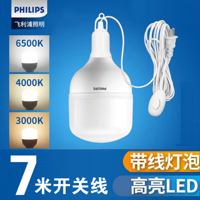 飞利浦220V带开关线工厂挂式灯泡