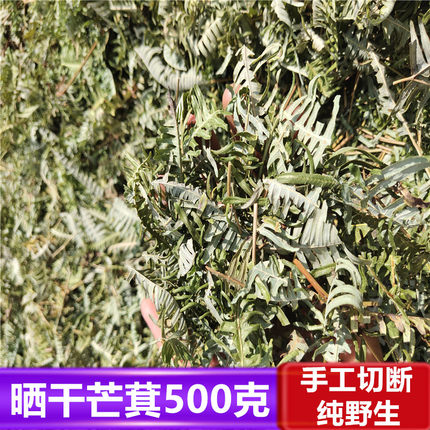 深山芒萁500g晒干草芒山蕨铁狼萁铁芒萁芒仔山芒芒萁骨根干品