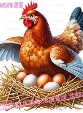 贴画公鸡母鸡图案抠图贴纸餐厅冰箱自粘画柜门贴饰贴墙遮疤装饰画