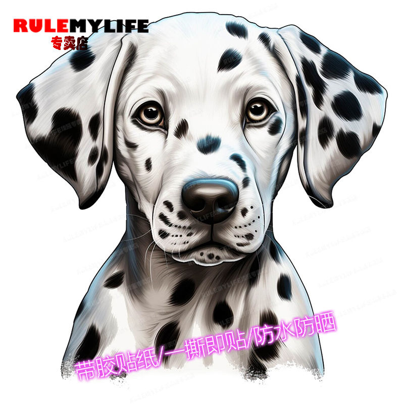 斑点狗汪动物图案卧室家居汽车电动车冰箱店铺门窗墙上潮流墙贴画