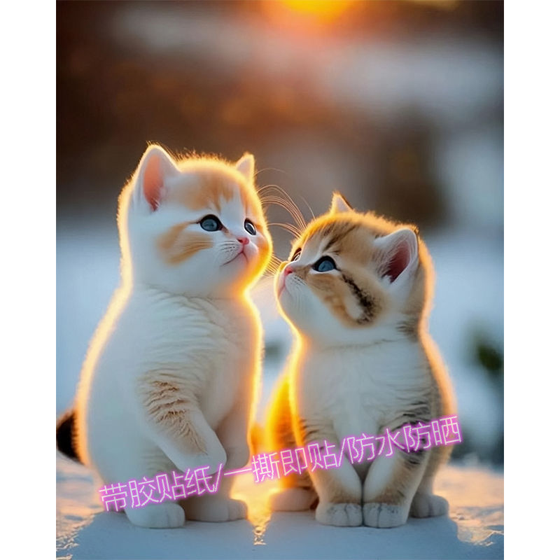 可爱小猫贴画母子手工猫咪贴墙怀旧动物墙贴diy儿童房客厅装饰贴