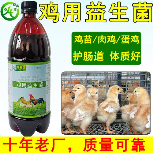 益富源鸡用益生菌液饮水拌料