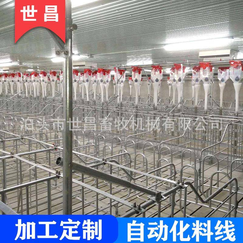 自动化料线猪用自动化料线育肥猪使用自动上料系统表