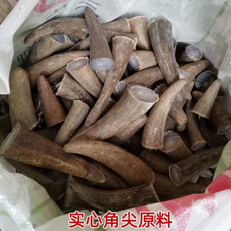 天然实心牛角原料毛料尖弹弓diy