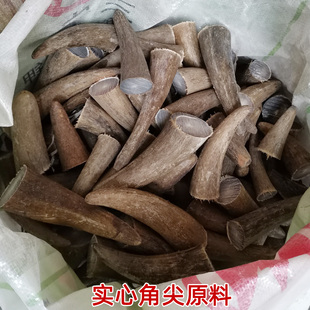 天然实心牛角原料白牦牛角尖毛料刀柄坯料DIY手把件印章佛珠材料