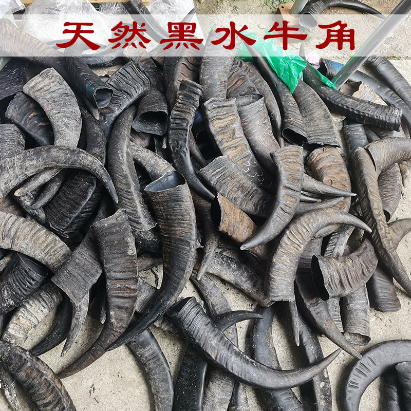 天然水牛角原材料DIY摆件毛料实心牛角尖原料弹弓牛角号角印章料