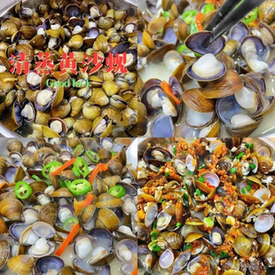 黄沙蚬潮汕特产新鲜溪蚬子腌制黄蚬子鲜活蛤蜊非花甲爆炒贝类水产