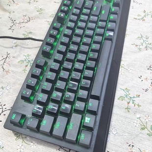 Razer雷蛇黑寡妇蜘蛛2019标准绿光版 有线游戏电竞幻彩机械键盘