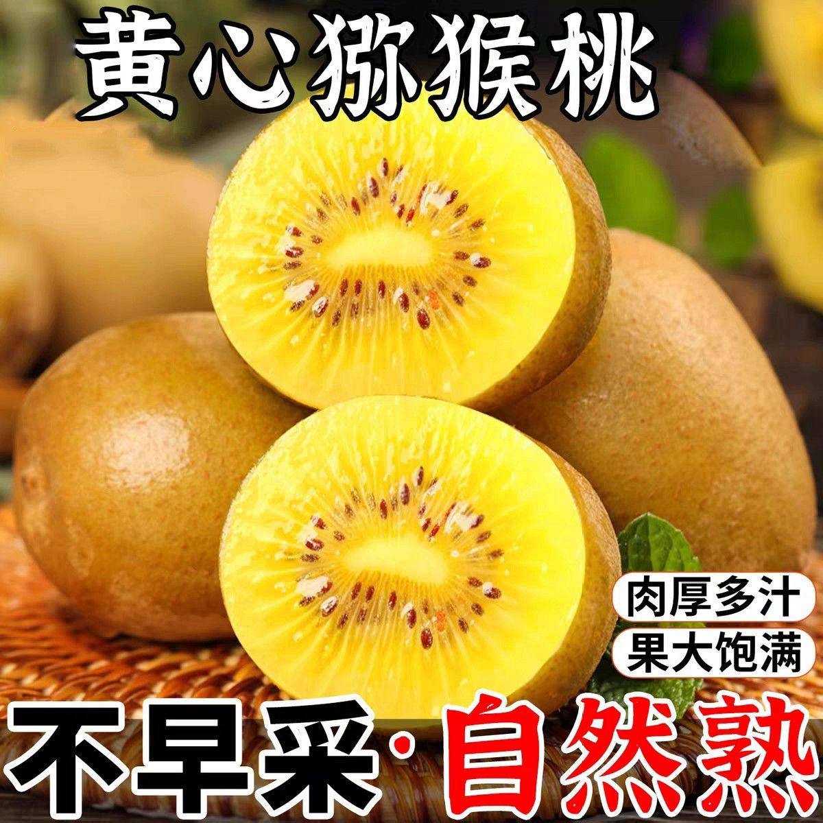 西峡黄心猕猴桃黄金奇异果整箱