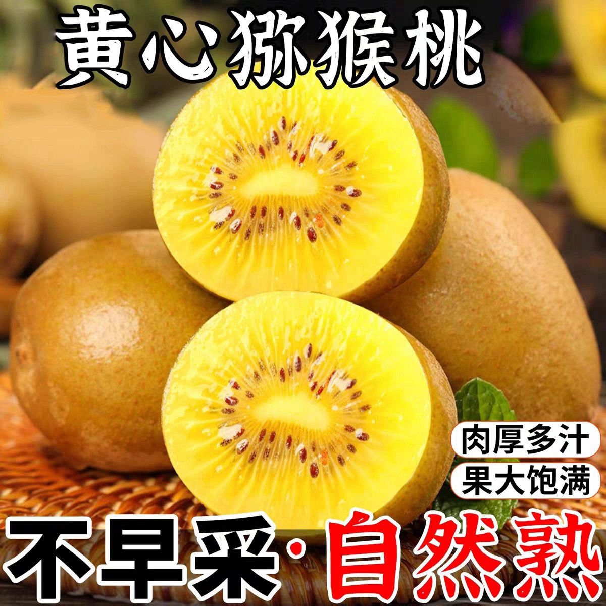 G3黄心猕猴桃新鲜采摘产地直发