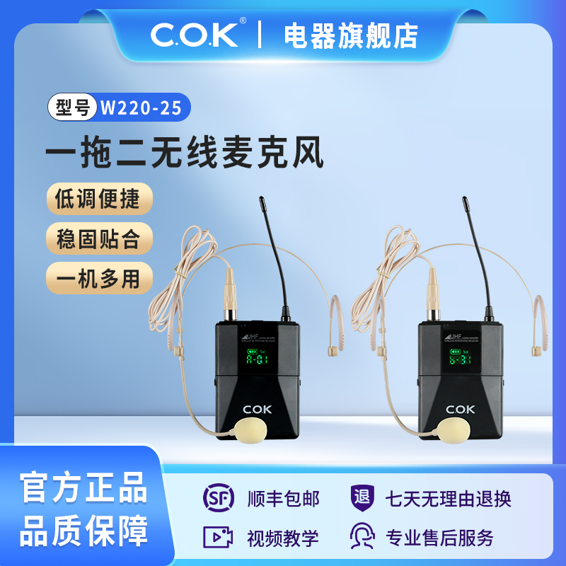 W220-25无线专业头戴麦克风一拖二U段自动对频舞台演出演讲