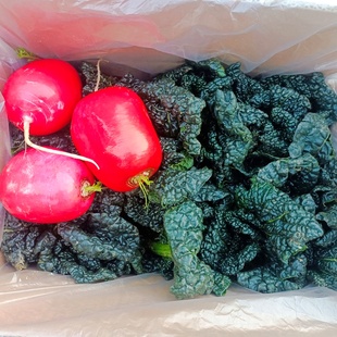 泡泡青3斤 红萝卜2斤 随州随县特产青菜 安居沙湾新鲜蔬菜组合5斤