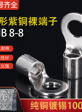 RNB8-8圆O形裸接线端子接线耳鼻子6-10平方紫铜100只