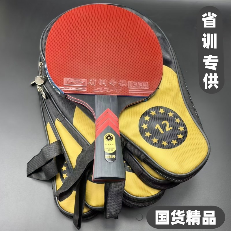 迪克威专业级亏本清仓处理12星碳素中考训练直拍横拍高弹乒乓球拍