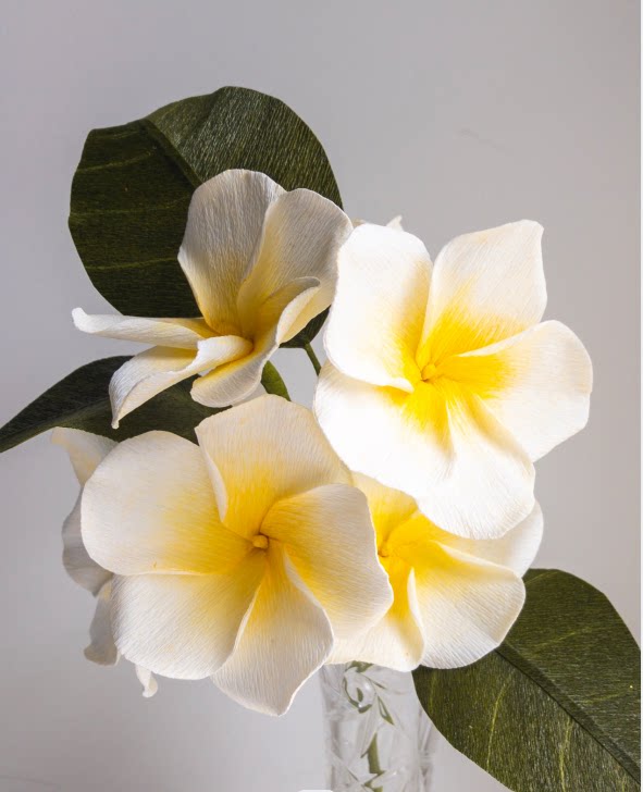 定制180克意大利进口皱纹纸花普通色系褶皱纹纸花手折玫瑰花纸皱