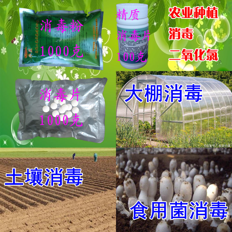 土壤消毒剂蘑菇菌类农业大棚种植接种室空气杀菌剂二氧化氯消毒片