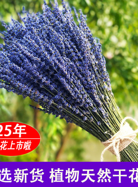 薰衣草干花束客厅家居装饰 天然风干花束真花香薰网红插花ins礼物
