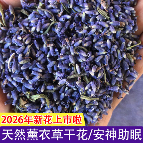 新疆伊犁安神助眠专用天然薰衣草