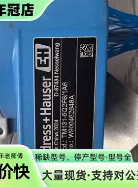 议价E+H温度传感器TM131-5Q2F6/1A6，202可维修翻新