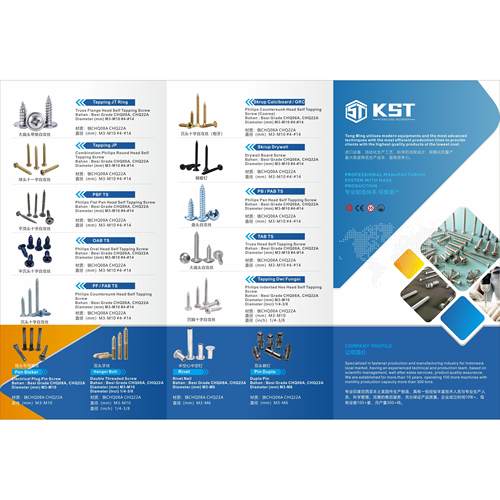 五金螺丝画册紧固件宣传册自攻自钻螺丝螺母元钉铁件图册设计印刷