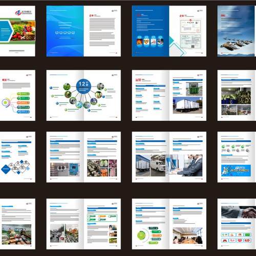 餐饮生鲜食材配送农副产品蔬菜配送团体餐饮配送画册图册设计印刷