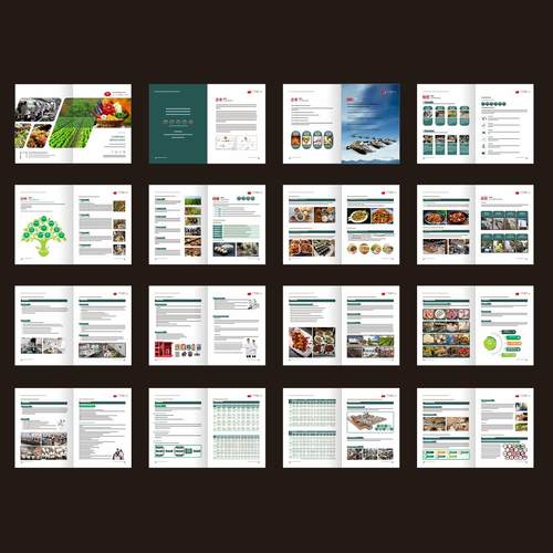 餐饮食材蔬菜配送食堂承包供餐方案运营管理菜品人员培训画册设计