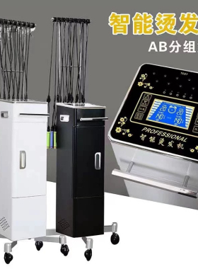 恒温烫发机热烫机器DT