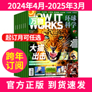 预定全年12期 万物杂志2024年订阅how works 15岁少年中小学生科普百科课外阅读青少年读物期刊