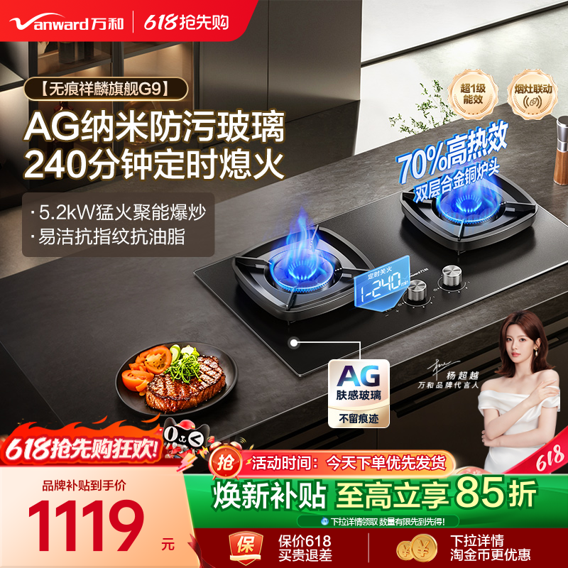 [焕新补贴]万和天然气燃气灶煤气灶家用双灶定时台嵌两用灶台G9
