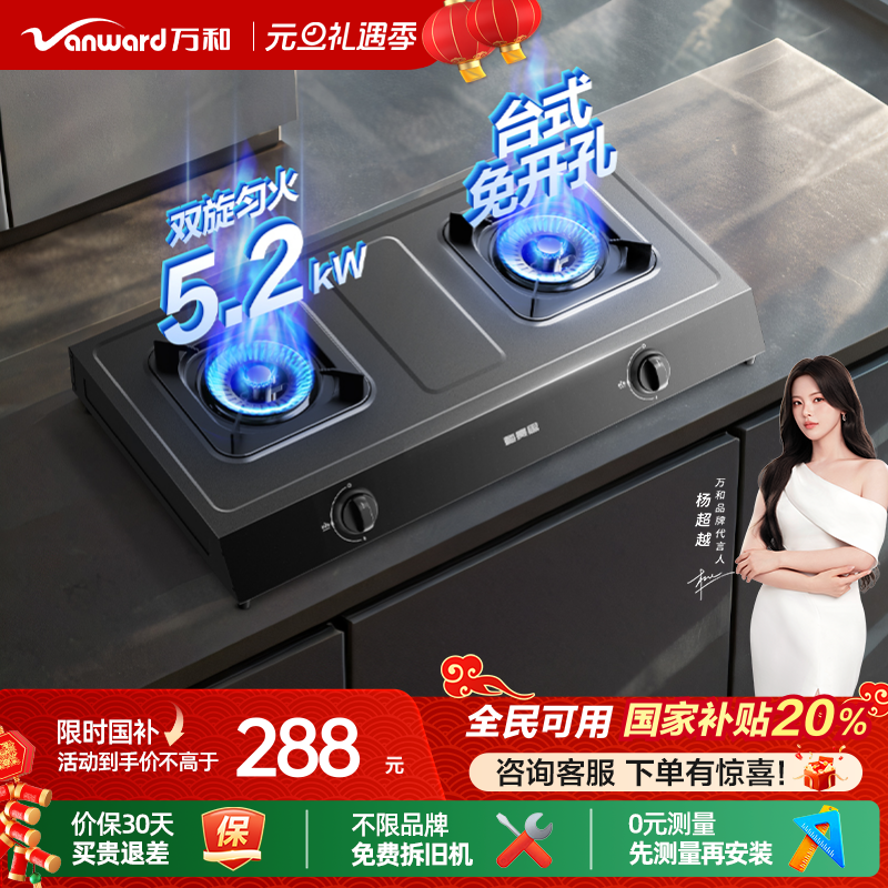 [政府补贴]万和不锈钢煤气双家用天然气炉灶具台式燃气灶液化气D9
