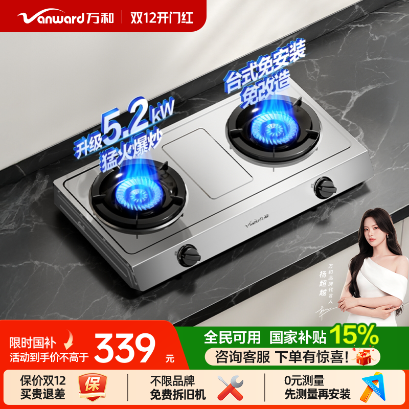 [政府补贴]万和不锈钢煤气灶双灶家用天然气液化气台式燃气灶D9
