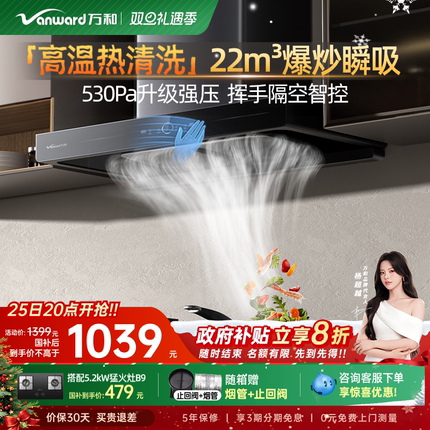 [政府补贴]万和小双翼家用厨房大吸力自清洗顶吸式吸烟机WX536