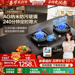 [品牌补贴]万和猛火燃气灶家用双灶定时天然气台嵌两用灶具炉灶G9