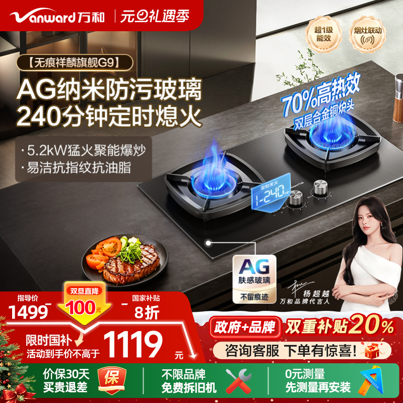 [政府补贴]万和猛火燃气灶家用双灶定时天然气台嵌两用灶具炉灶G9