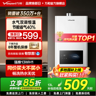 A3PRO 万和家用天然气液化气恒温铜水箱燃气热水器WH1 政府补贴