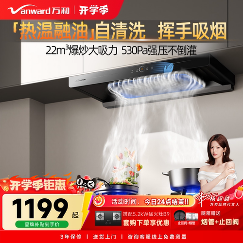 21吸力欧式挥手控烟机