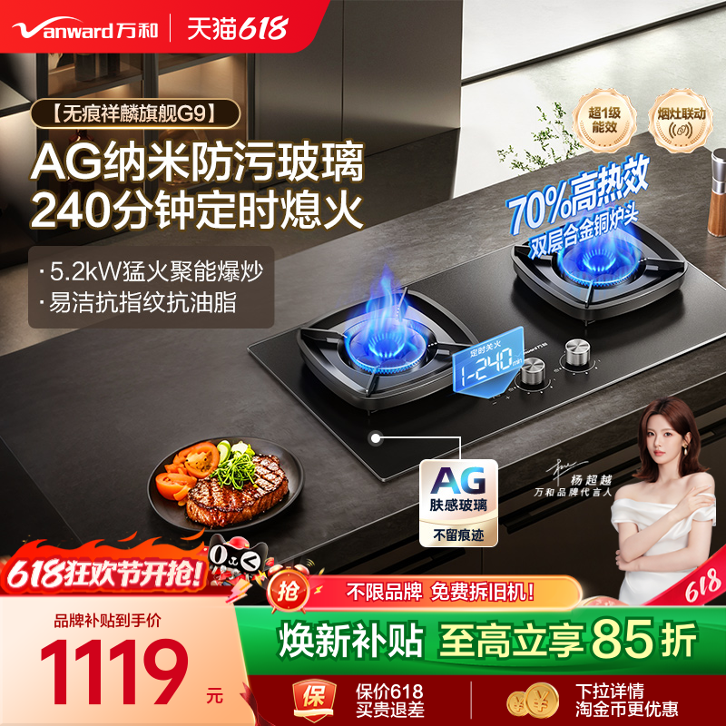 [焕新补贴]万和天然气燃气灶煤气灶家用双灶定时台嵌两用灶台G9