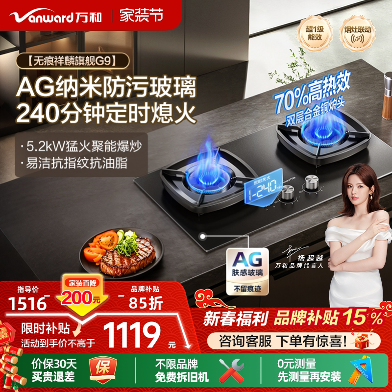[焕新补贴]万和天然气燃气灶煤气灶家用双灶定时台嵌两用灶台G9