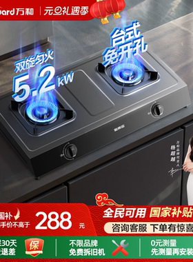 [政府补贴]万和不锈钢煤气双家用天然气炉灶具台式燃气灶液化气D9